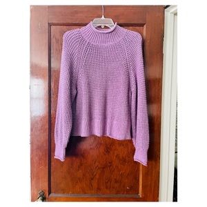 Knit Turtleneck Sweater